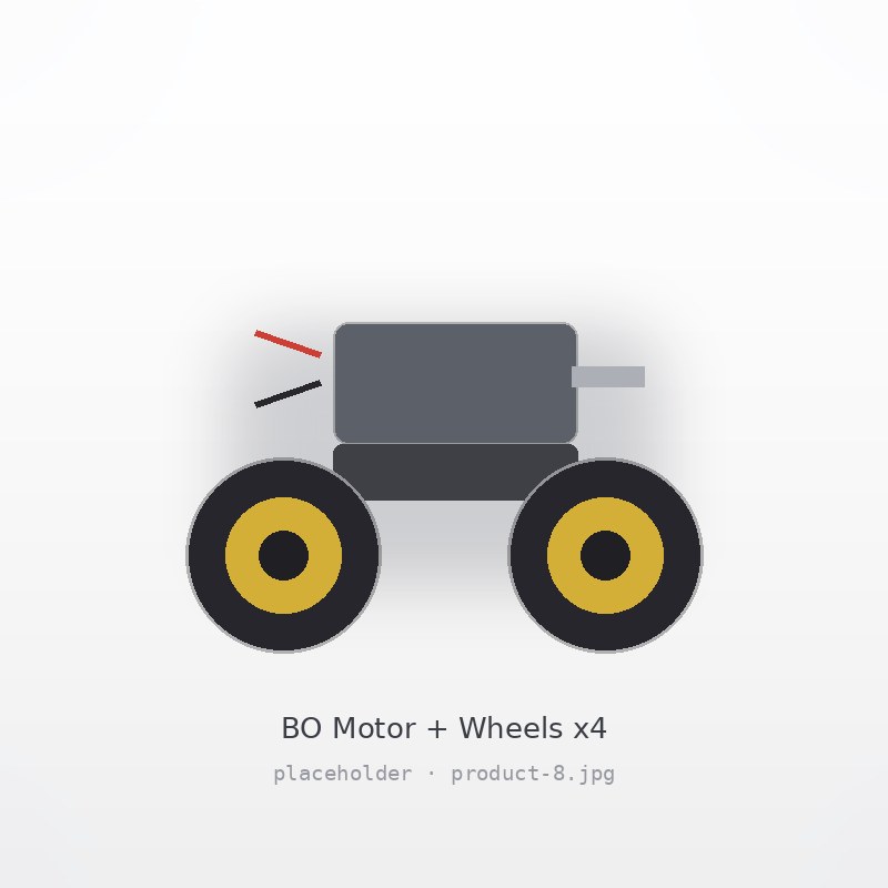 BO Motor with Wheels - Set of 4